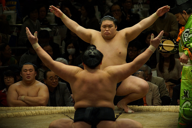 12517001614_fc2dffa627_z